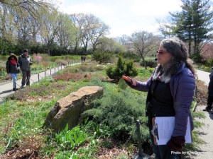 Ronda Brands leads a tour in the Heather Garden during early spring.